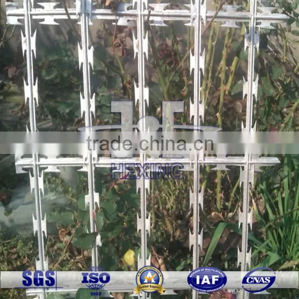 Galvanized Diamond Hole Welded Razor Wire Fence