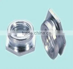 small precision standard nut