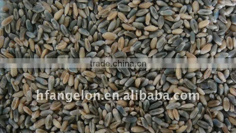 Wheat color sorter