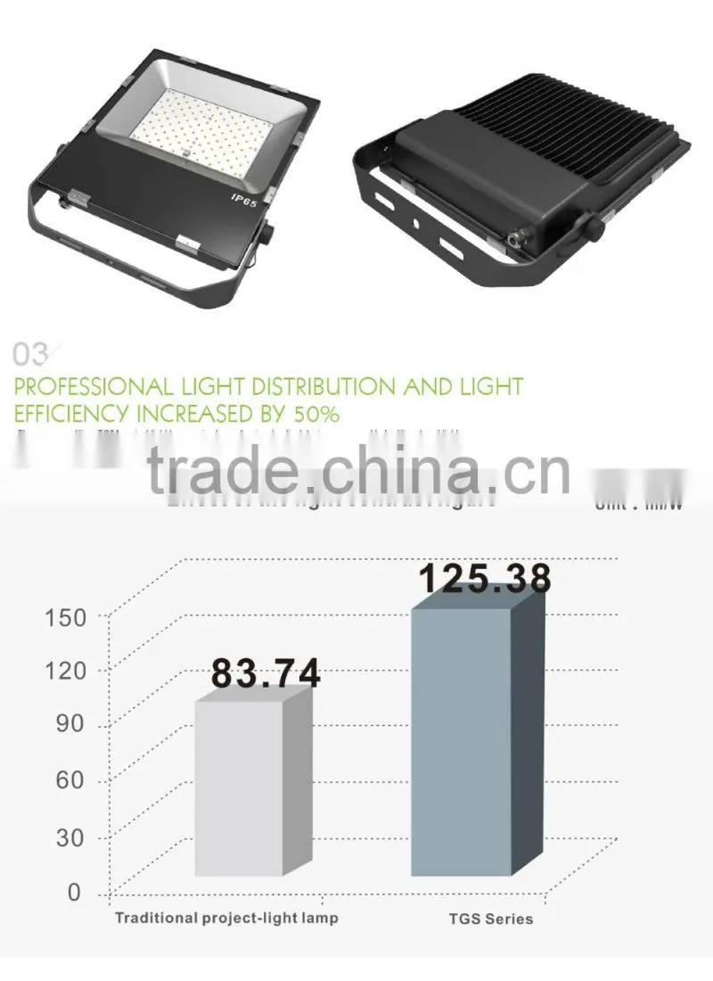 Meanwell Driver, Promotional Price, 5 Years Warranty, CE ROHS Approved, Free Lighting Design, 100 Watt Floodlight