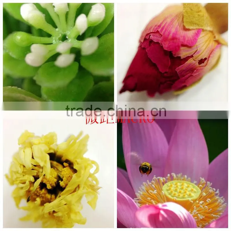 Universal 3 in 1 For Iphone Camera Lens Mobile Phone Fisheye Macro Wide Angle Camera Lens