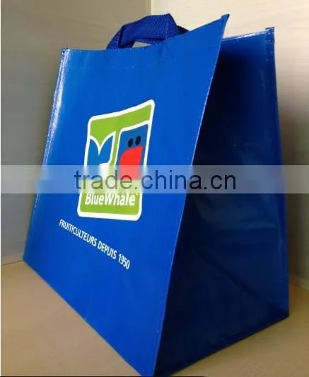 PP Woven shopping Bag