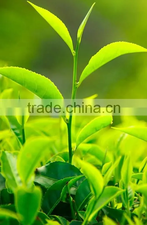 Huminrich Npk Coated With Humic Acid