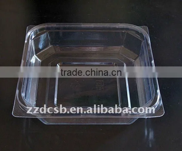 Plastic Blister Packaging Tray