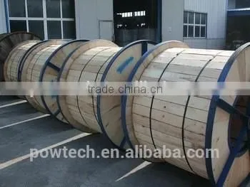 OPGW cable the hottest