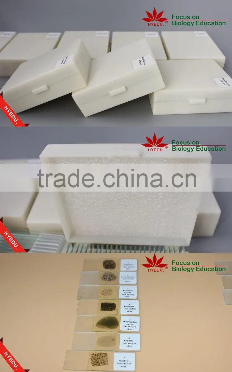 100pcs Geographical mineral rock powder slides set