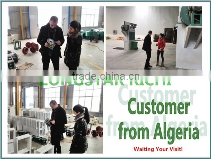 Our Customer Visit Factory _ RICHI _ Feed Pellet Production Line _ Pellet Mahinery