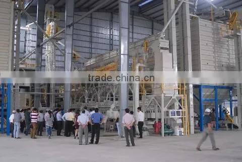 Supply High quality Round rice (Skype: anda.ty)