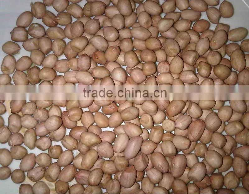 Chinese Peanut Kernel