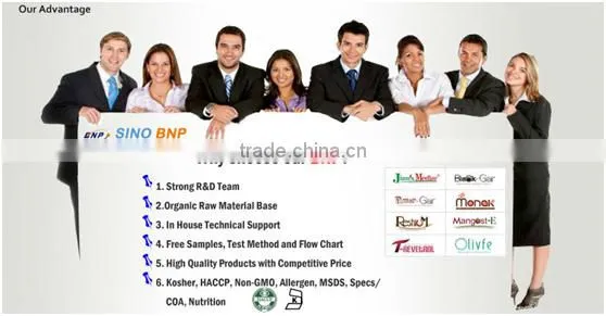 BNP Natural TOP Quality Reishi Spore Powder