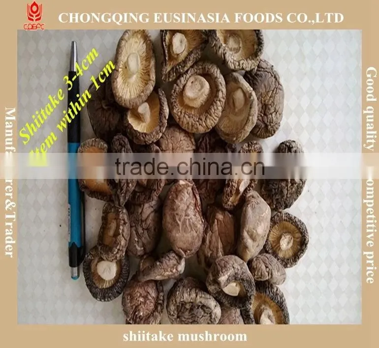 Dried Shiitake Slice