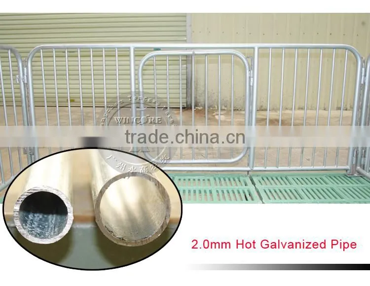 Pig farm equipment Piglet nursery crate pig nursery pen weaner pen