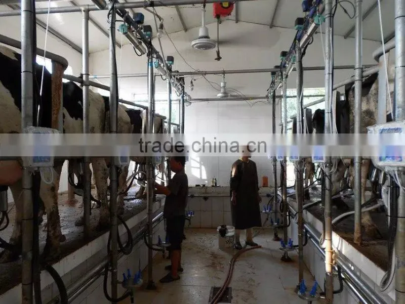 Automatic Stripping and Cluster Removal System