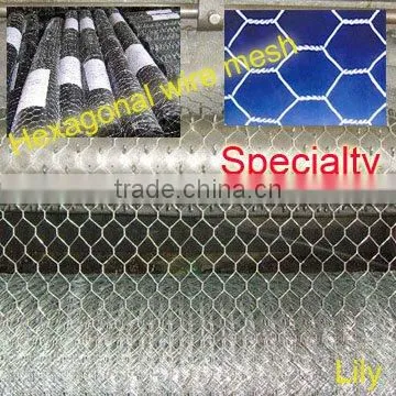hexagonal wire mesh
