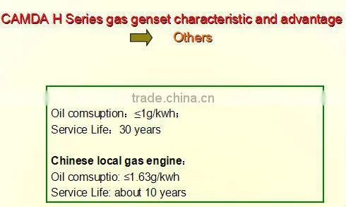 200kw Oil field gas/Natural gas generator with CHP