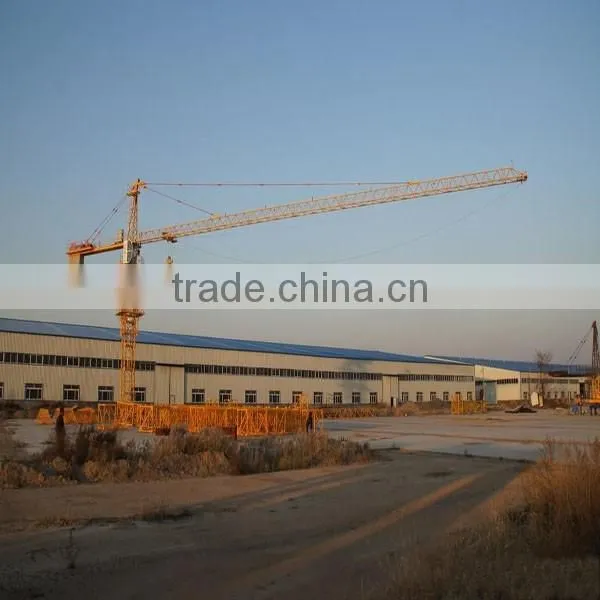Unique Official Manufacturer Tower Crane QTZ80(6010) Top supplier Tower Crane in China