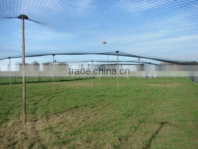 Bird control netting/Anti-butterfly netting/Plant support netting