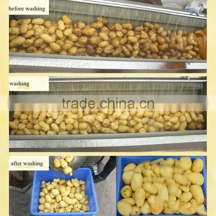 Commercial use fruit and vegetable cleaning washing machine