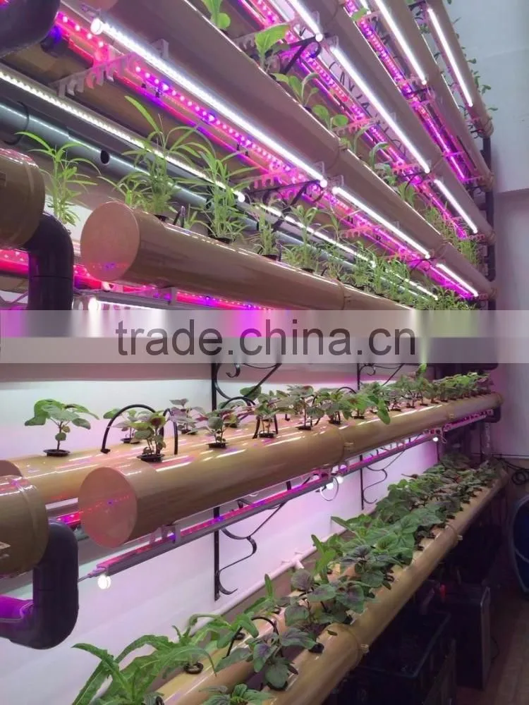 Hot seller 20w cheap indoor led grow lights that work