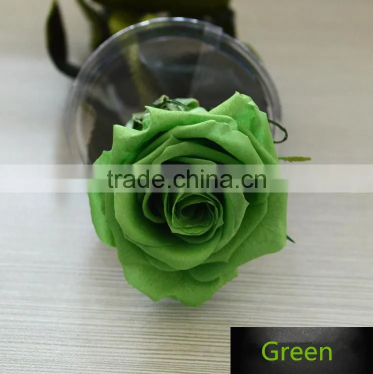 Fresh Cut Flowers Roses Long Lasting Big Rose Flower With Stem