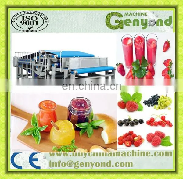 industrial cold press juicer/apple juice belt press