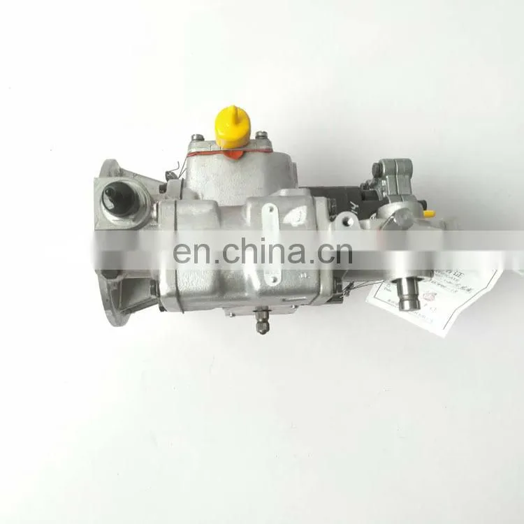 4915446(1).jpg
