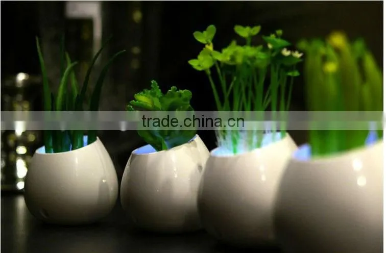 ShenZhen Potted Plants LED Night Light