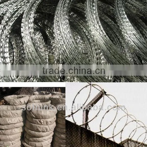 galvanized steel coiled barbed wire (high quality)