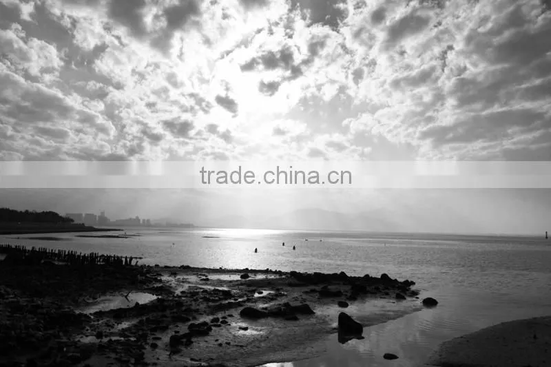 82mm Yellow filter Massa high quality color filter