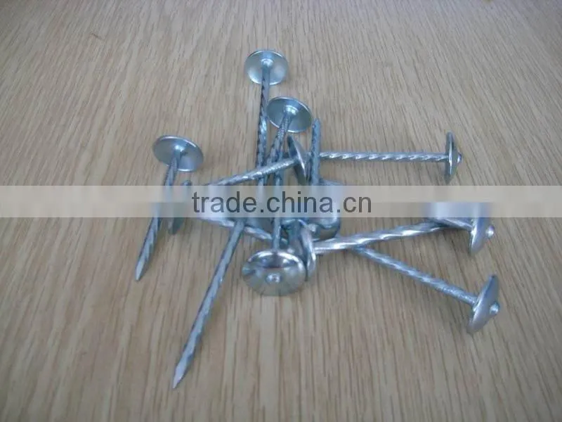 roofing nail with umbrella head