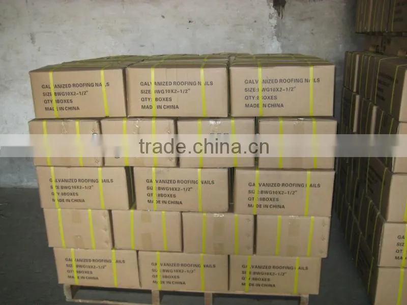 high quality and low price twisted shank roofing nail with umbrella head China factory