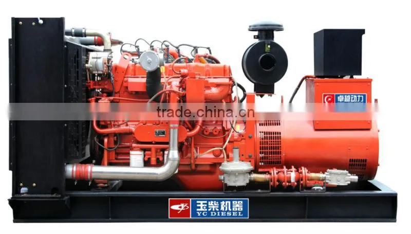 biogas plant to generate electricity