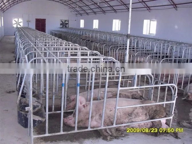 pig crates for pig farm