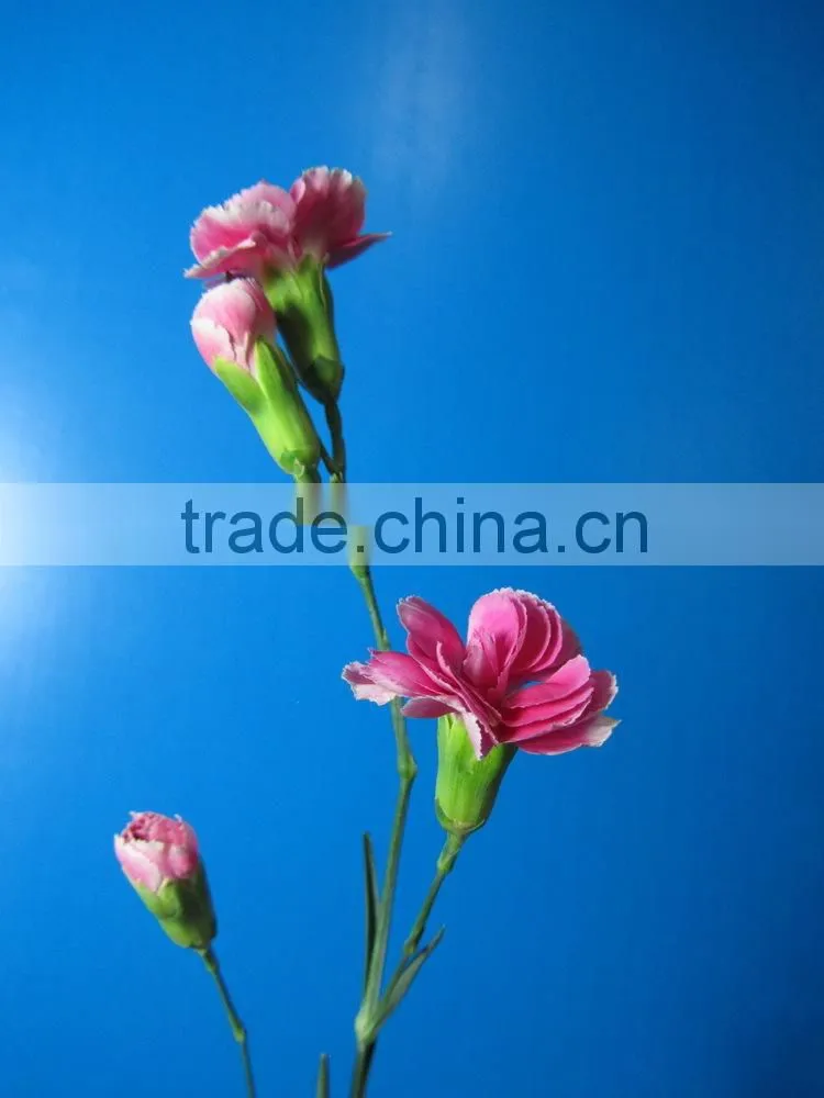 Good smell hot sale fresh cut carnations and roses