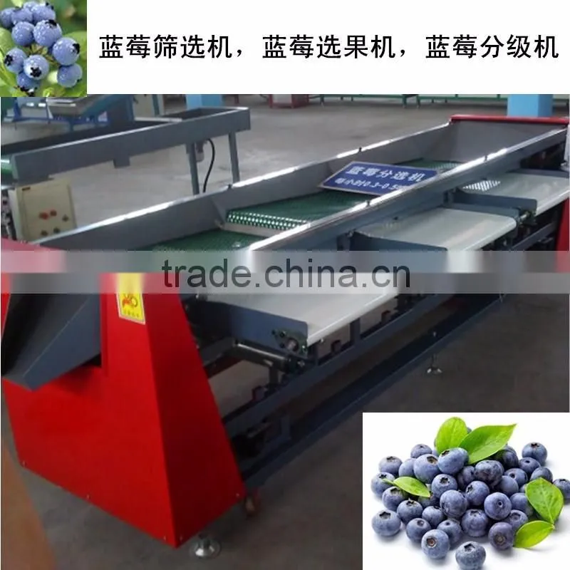 Sorter Type strawberry sorting machine