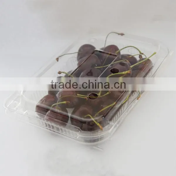 High Quality plastic fruit box container