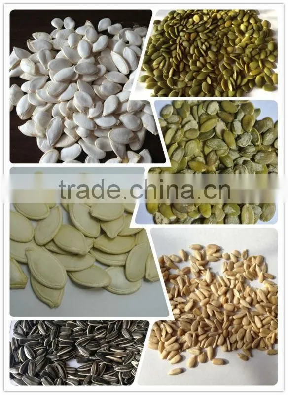 Chinese sunflower seeds 5009 Long shape 270PCS/50G