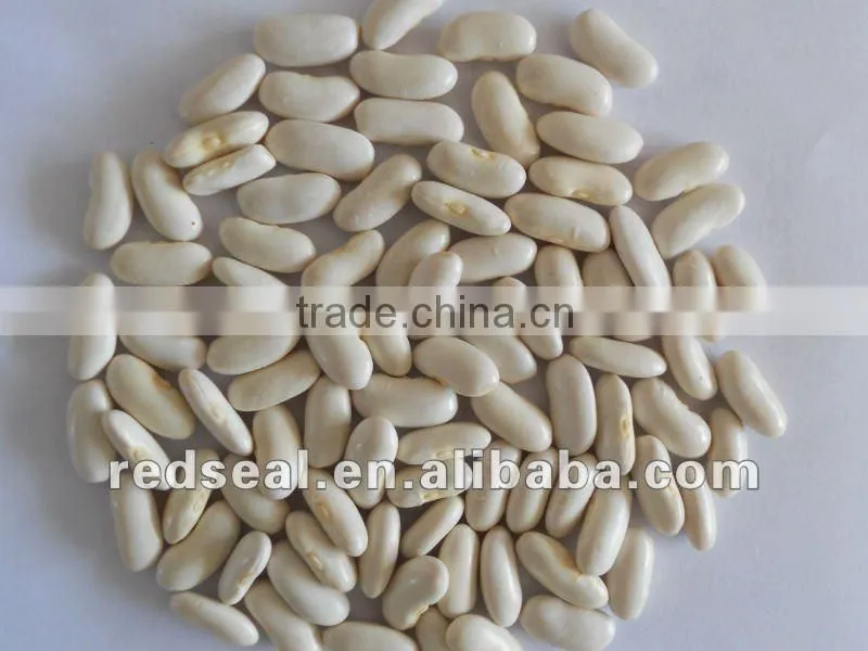 Yunnan Organic white kidney beans