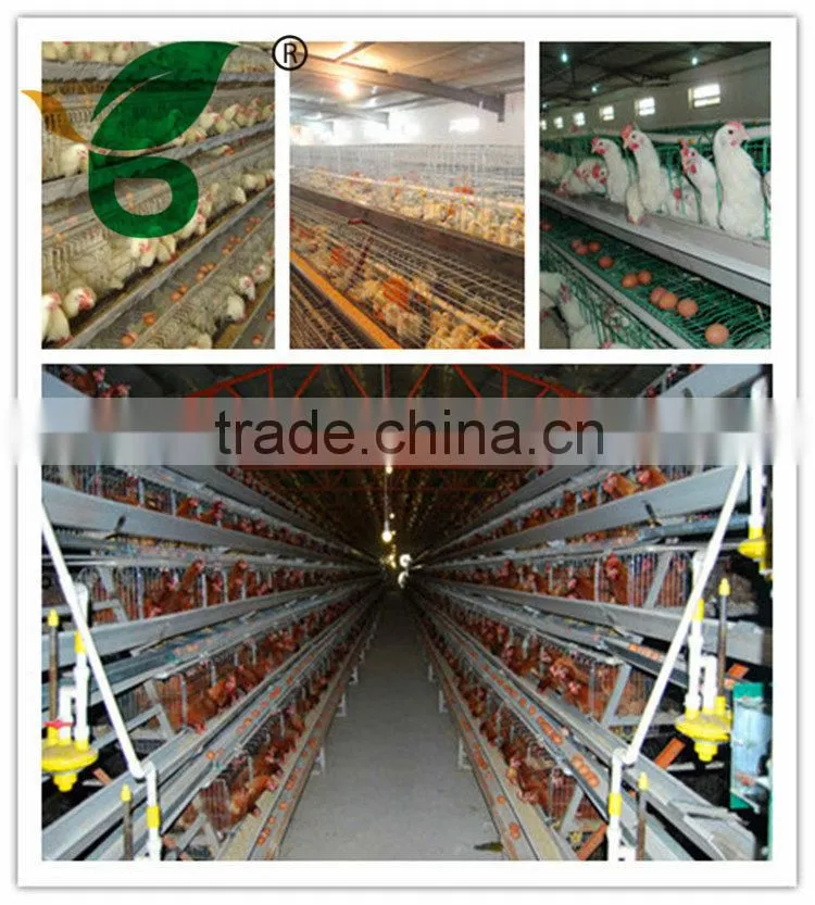 galvanized material welded wire mesh cage for quail