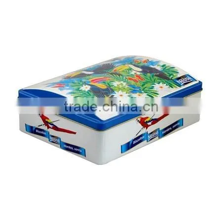 customized exquisite House shaped tin box for food, house shape tin case for gift