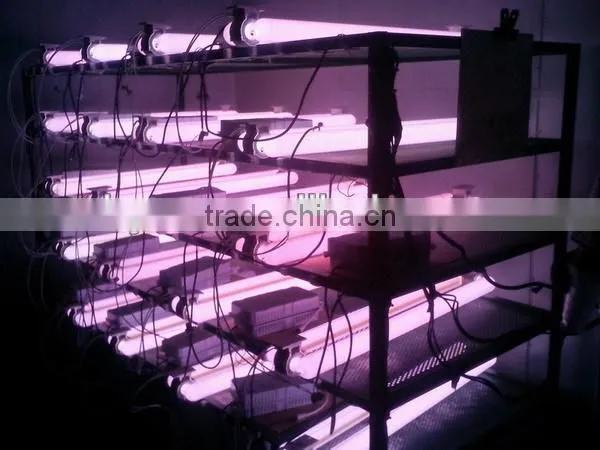 specical spectrum 600w induction grow light