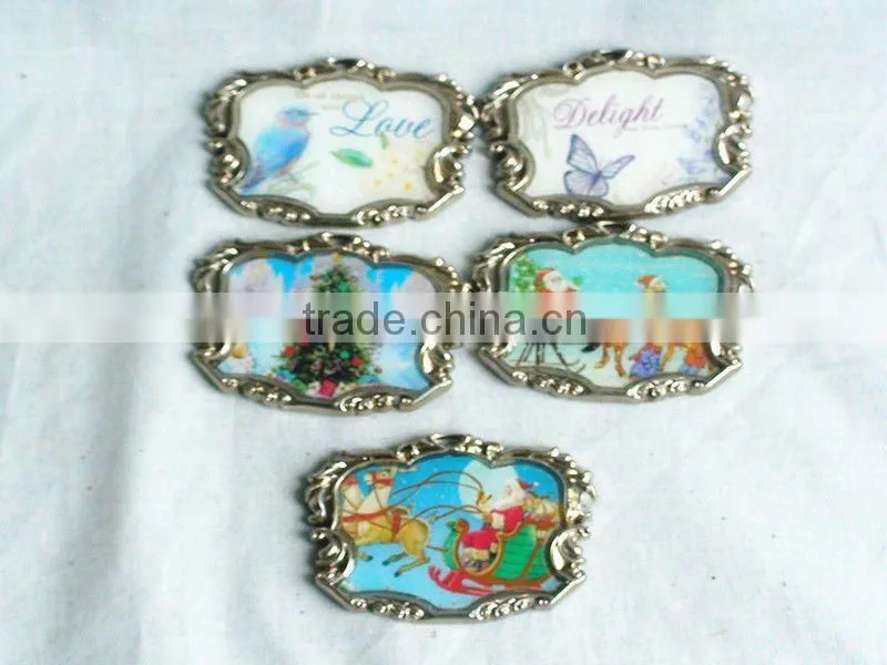 2012 QZchaoqun Deer animal world metal fridge magnet
