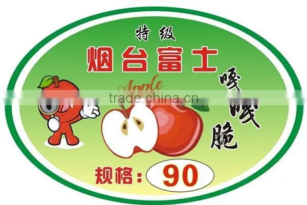 PE paper material sticker label printed low price