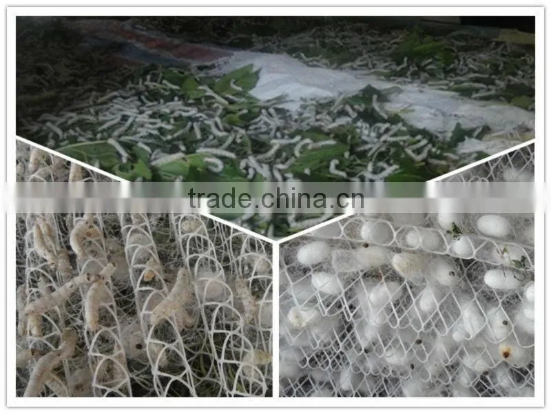2013 New product cute and exclusive pure mulberry silk comforter for children