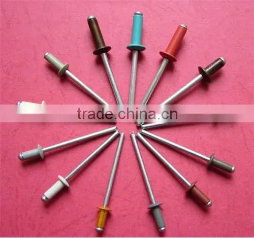 Ningbo supplier manufacture rivet Rivet head Screws and Flat Head Solid Rivets alibaba china
