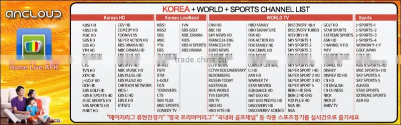 KOREA TV BOX/KOREA IPTV WATCH KOREA HD TV SUCH AS KBS MBC FOX HBO