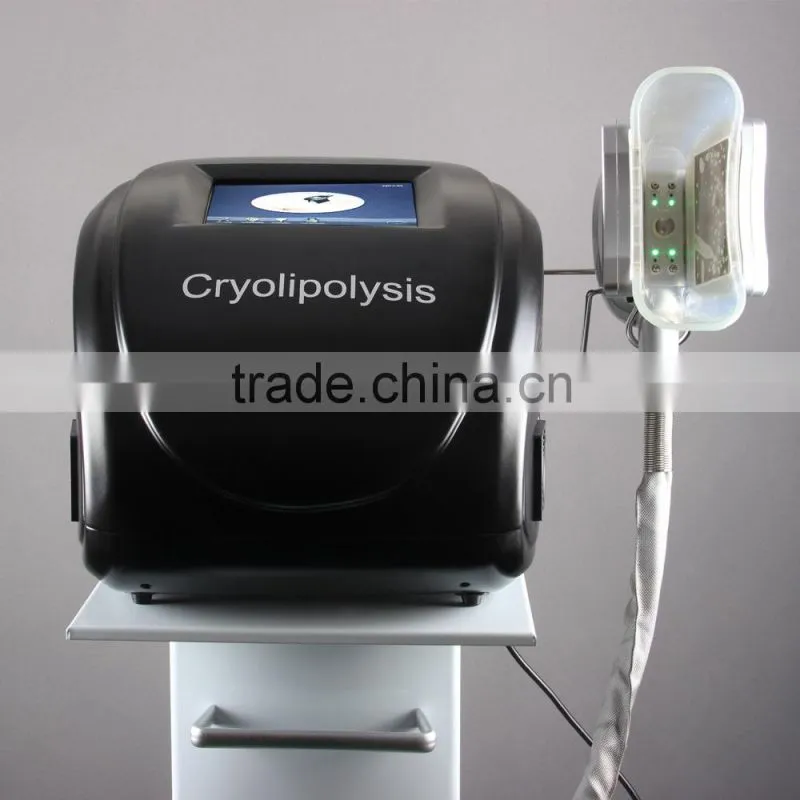 Newest 3 Handpieces Cool Body Sculpting portable criolipoliza