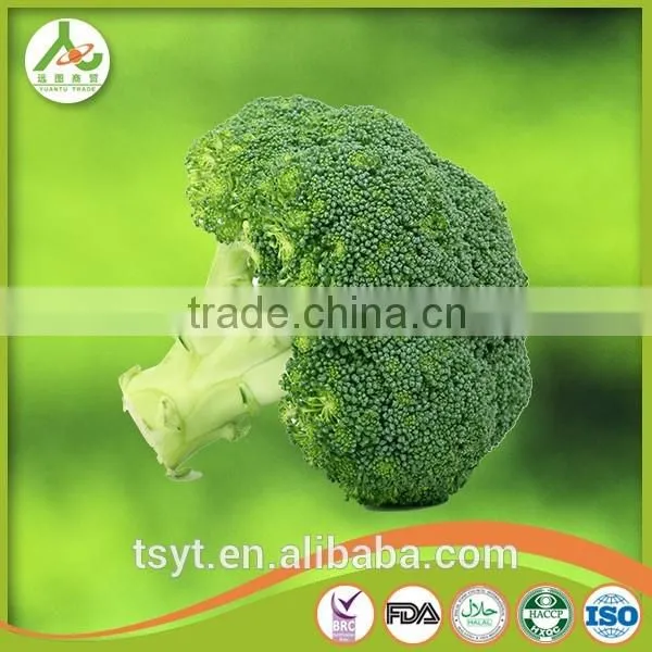 2017 China iqf frozen broccoli fresh green broccoli frozen broccoli broccoli powder