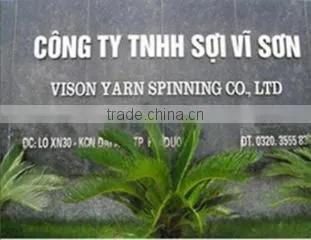 Vison Yarn Spinning Co., Ltd company overview - view 1