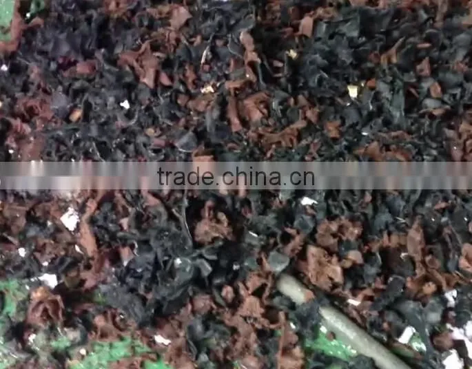 Shredder rubber chip